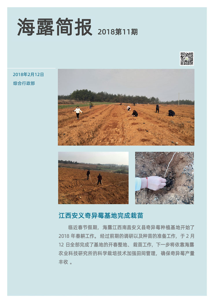 yp�ֻ���������Ϸ(�й�)�ٷ���վ