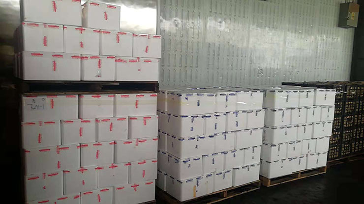 yp�ֻ���������Ϸ(�й�)�ٷ���վ