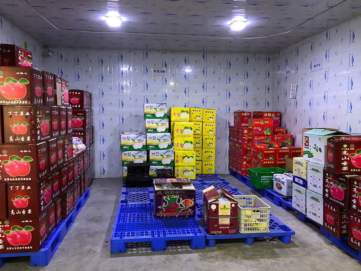 yp�ֻ���������Ϸ(�й�)�ٷ���վ