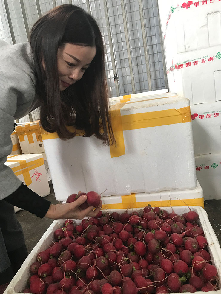 yp�ֻ���������Ϸ(�й�)�ٷ���վ