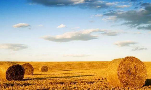 yp�ֻ���������Ϸ(�й�)�ٷ���վ