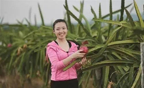 yp�ֻ���������Ϸ(�й�)�ٷ���վ