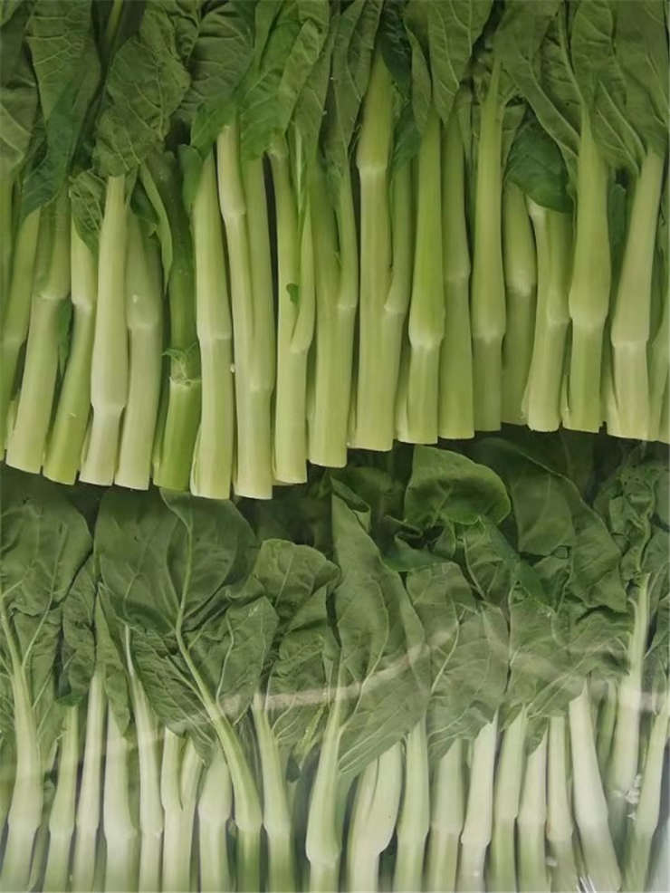 yp�ֻ���������Ϸ(�й�)�ٷ���վ