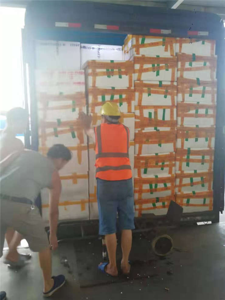 yp�ֻ���������Ϸ(�й�)�ٷ���վ