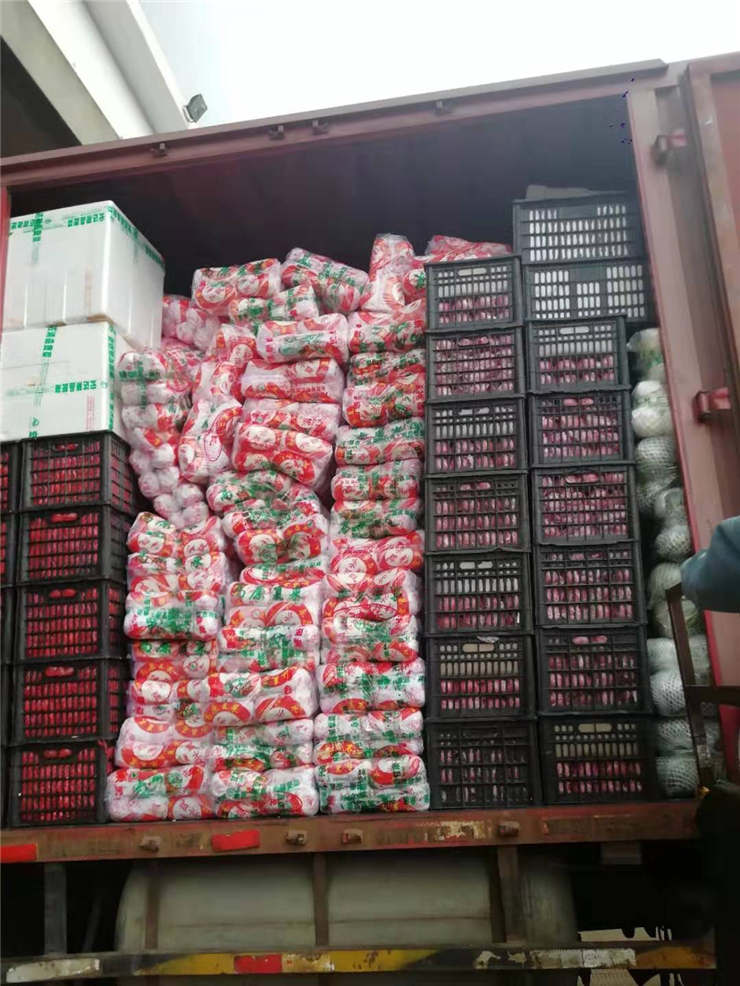 yp�ֻ���������Ϸ(�й�)�ٷ���վ