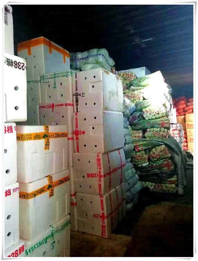 yp�ֻ���������Ϸ(�й�)�ٷ���վ