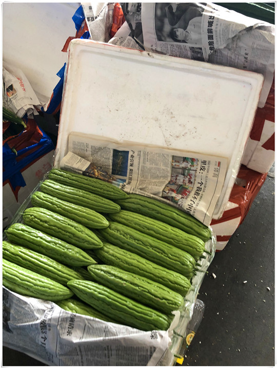 yp�ֻ���������Ϸ(�й�)�ٷ���վ