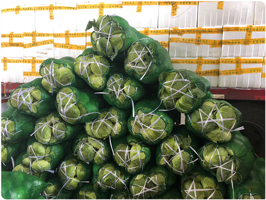 yp�ֻ���������Ϸ(�й�)�ٷ���վ