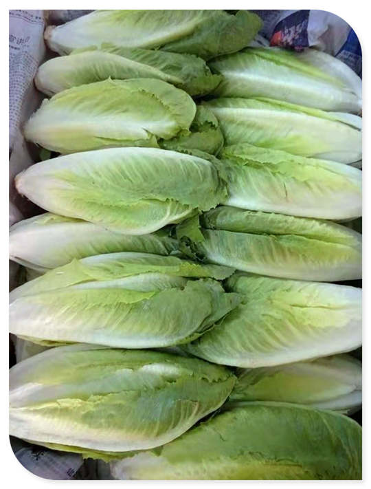 yp�ֻ���������Ϸ(�й�)�ٷ���վ