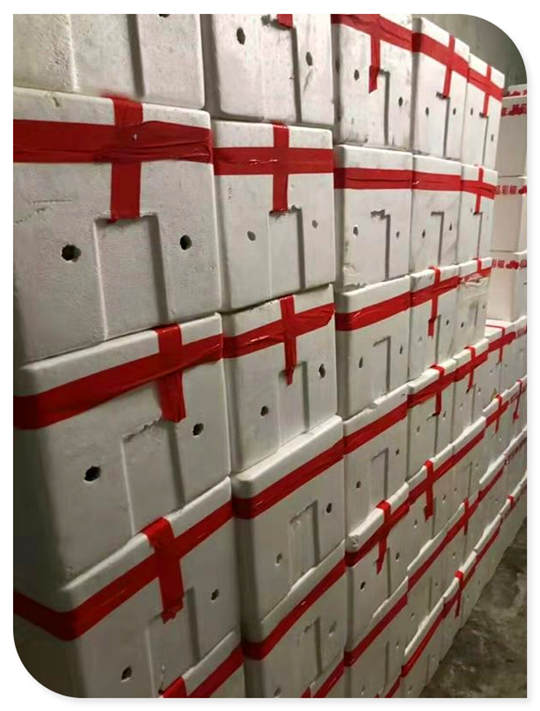 yp�ֻ���������Ϸ(�й�)�ٷ���վ