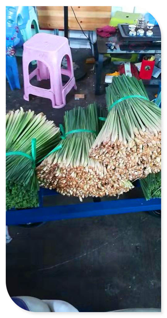 yp�ֻ���������Ϸ(�й�)�ٷ���վ