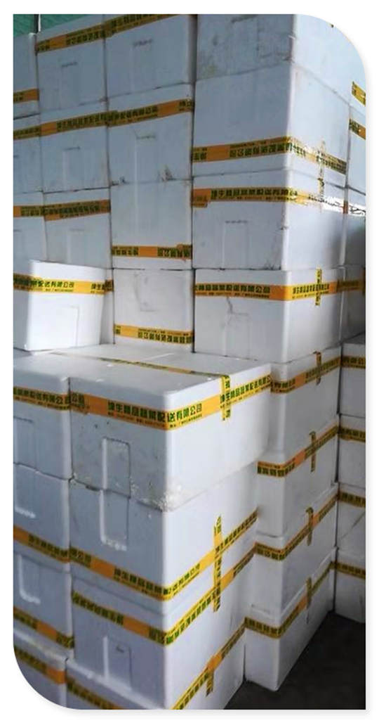 yp�ֻ���������Ϸ(�й�)�ٷ���վ