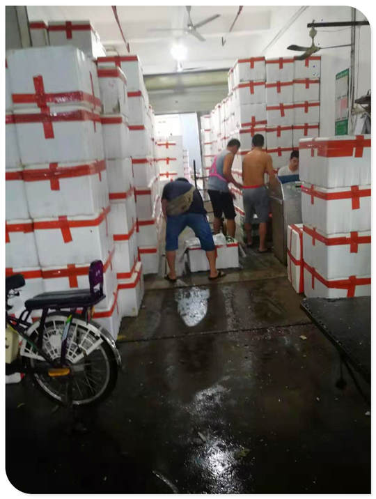 yp�ֻ���������Ϸ(�й�)�ٷ���վ