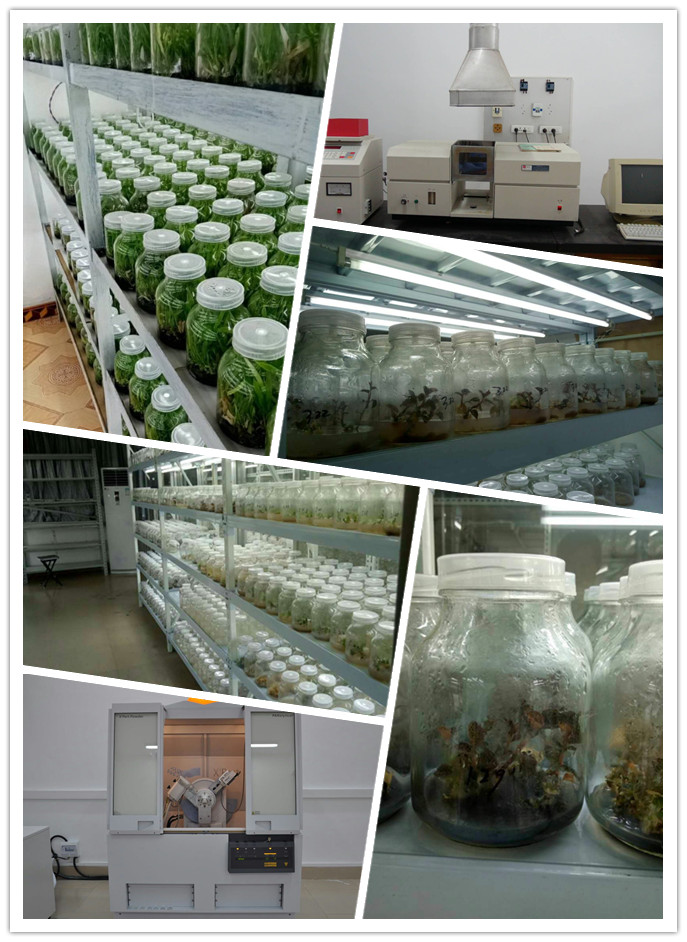 yp�ֻ���������Ϸ(�й�)�ٷ���վ