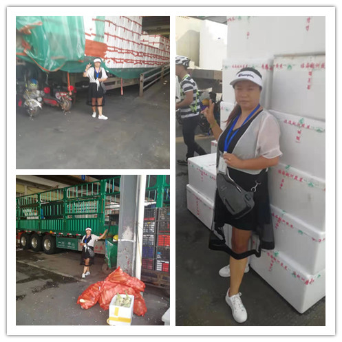 yp�ֻ���������Ϸ(�й�)�ٷ���վ