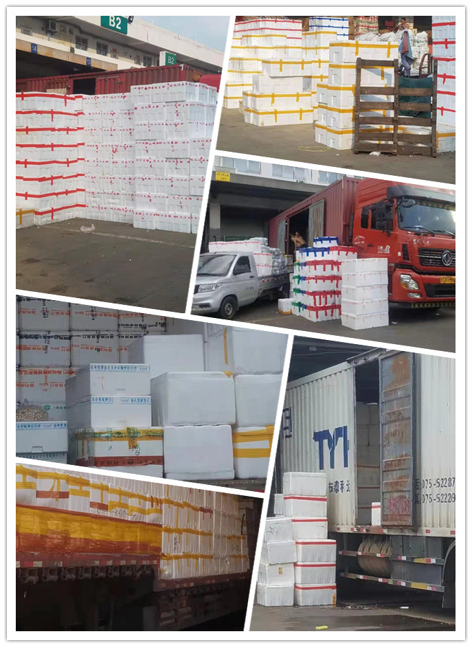 yp�ֻ���������Ϸ(�й�)�ٷ���վ