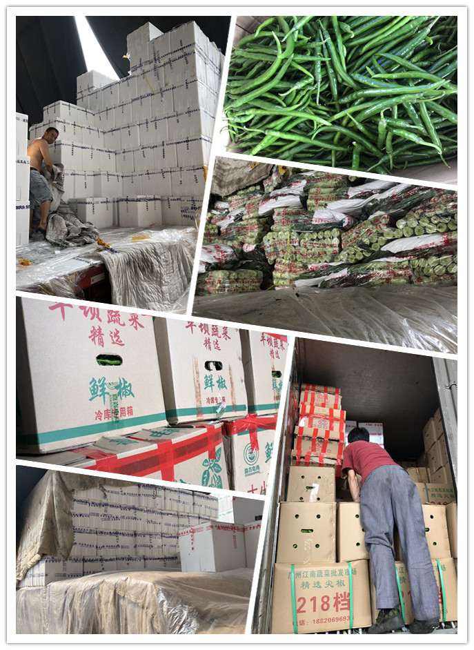 yp�ֻ���������Ϸ(�й�)�ٷ���վ