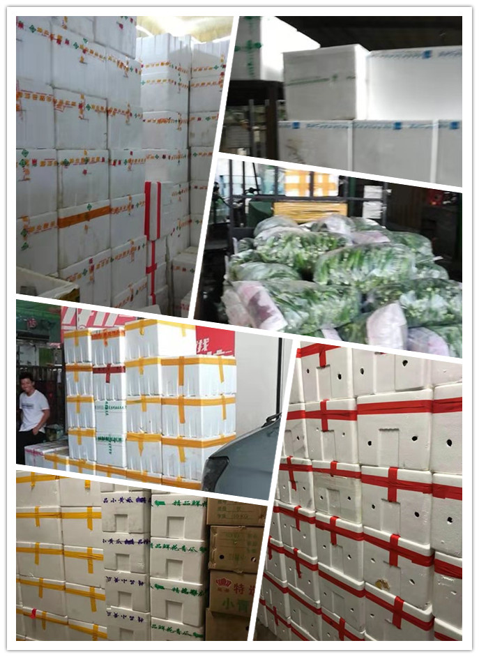 yp�ֻ���������Ϸ(�й�)�ٷ���վ