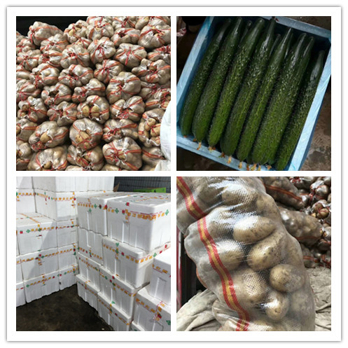 yp�ֻ���������Ϸ(�й�)�ٷ���վ