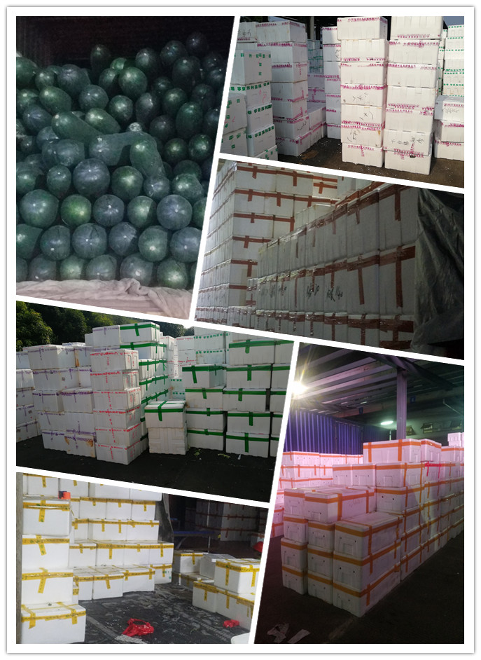 yp�ֻ���������Ϸ(�й�)�ٷ���վ