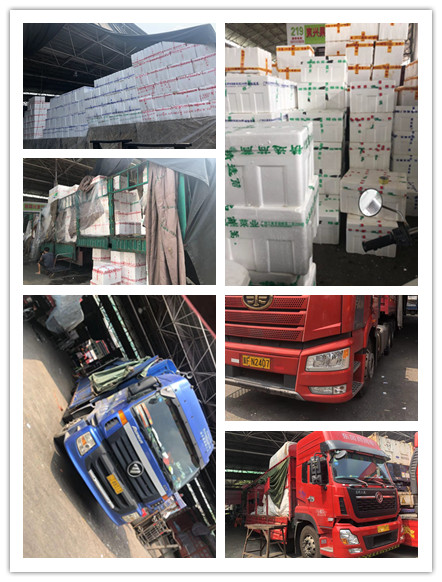 yp�ֻ���������Ϸ(�й�)�ٷ���վ