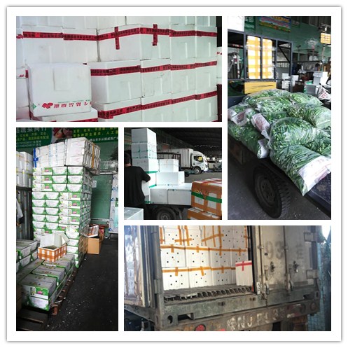 yp�ֻ���������Ϸ(�й�)�ٷ���վ