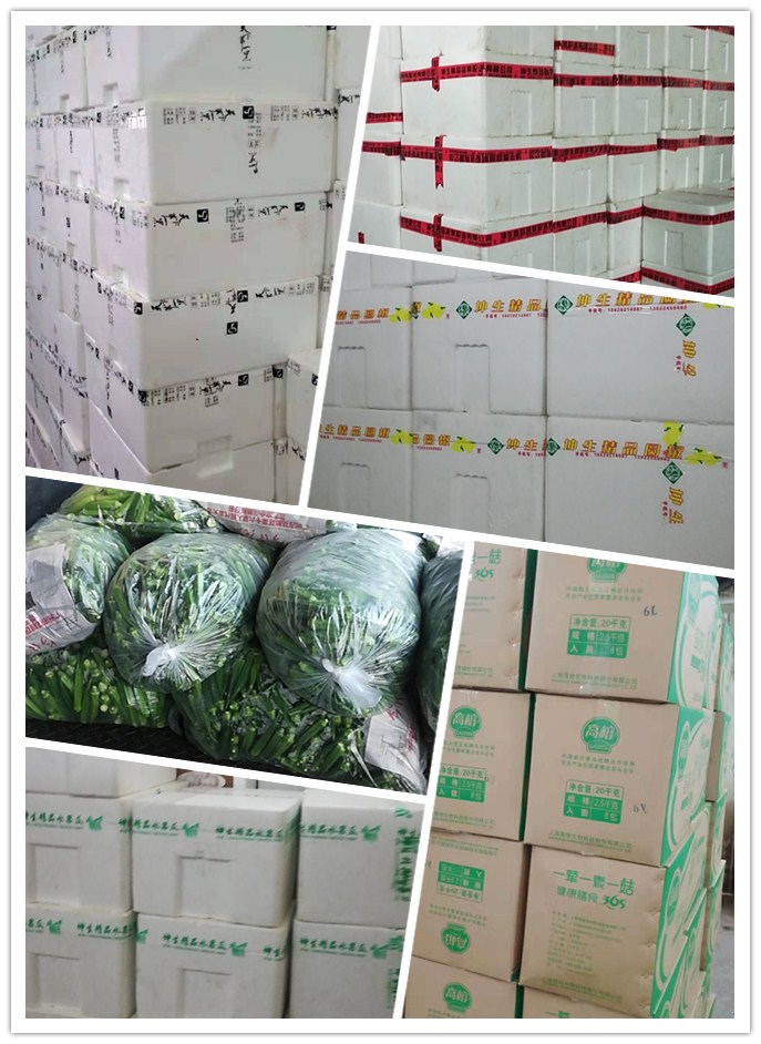 yp�ֻ���������Ϸ(�й�)�ٷ���վ