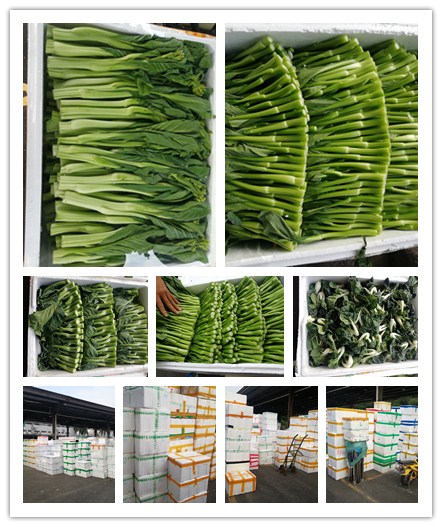 yp�ֻ���������Ϸ(�й�)�ٷ���վ