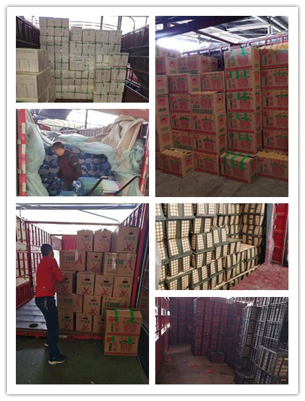 yp�ֻ���������Ϸ(�й�)�ٷ���վ