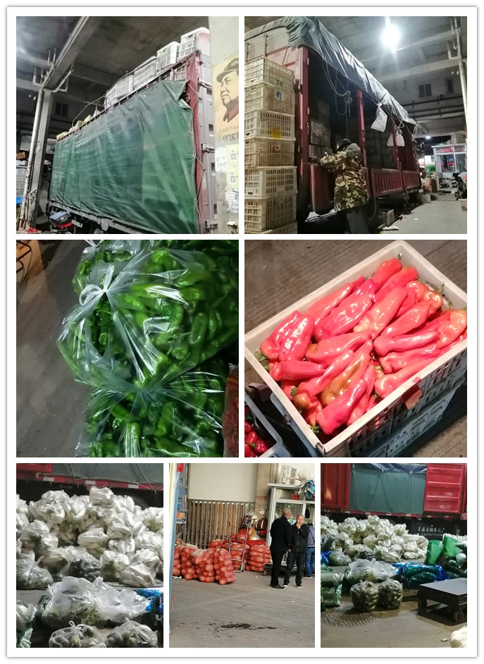 yp�ֻ���������Ϸ(�й�)�ٷ���վ