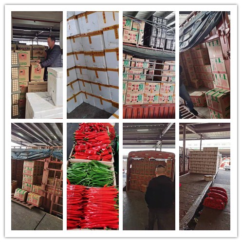 yp�ֻ���������Ϸ(�й�)�ٷ���վ