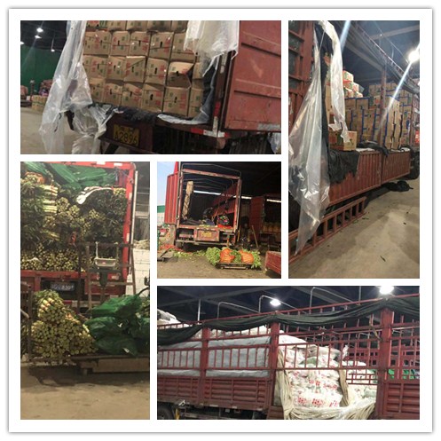 yp�ֻ���������Ϸ(�й�)�ٷ���վ