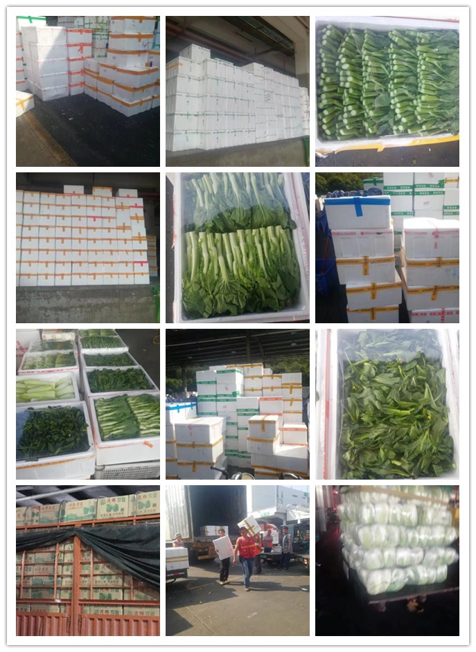 yp�ֻ���������Ϸ(�й�)�ٷ���վ