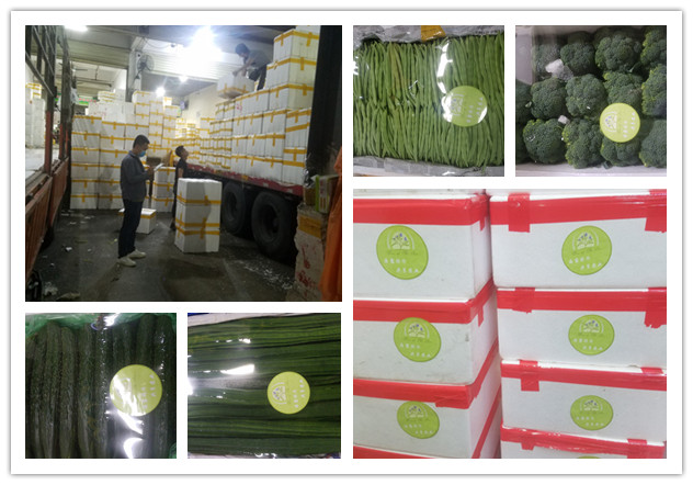 yp�ֻ���������Ϸ(�й�)�ٷ���վ