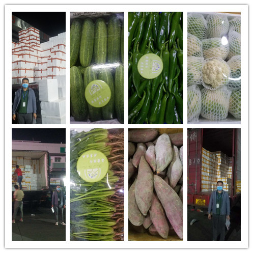 yp�ֻ���������Ϸ(�й�)�ٷ���վ