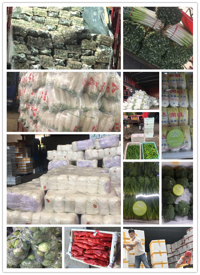 yp�ֻ���������Ϸ(�й�)�ٷ���վ