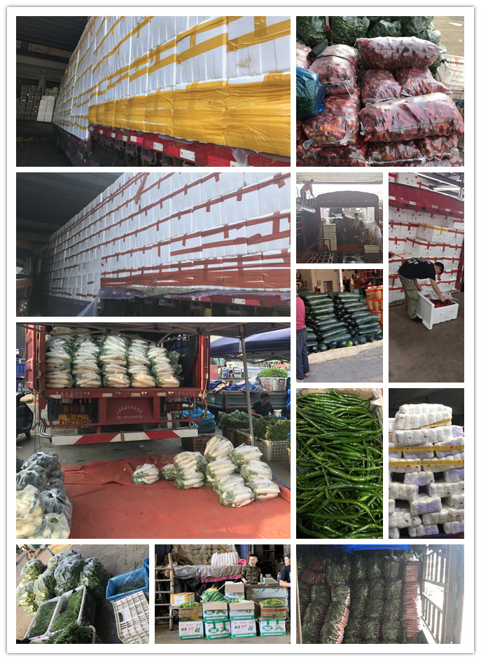 yp�ֻ���������Ϸ(�й�)�ٷ���վ