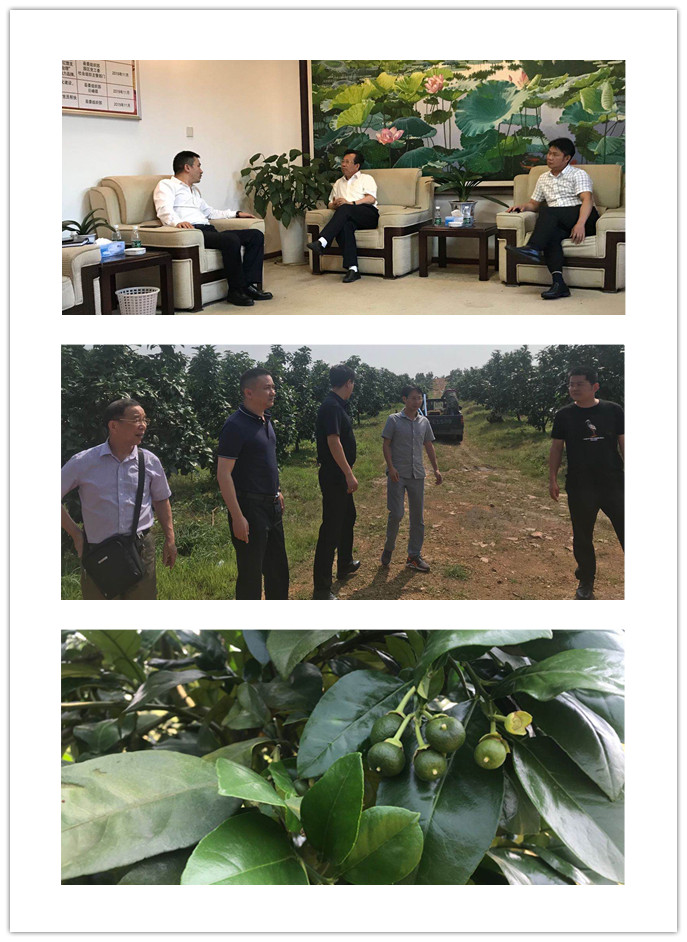 yp�ֻ���������Ϸ(�й�)�ٷ���վ