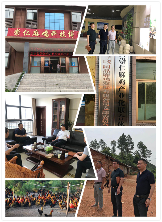 yp�ֻ���������Ϸ(�й�)�ٷ���վ