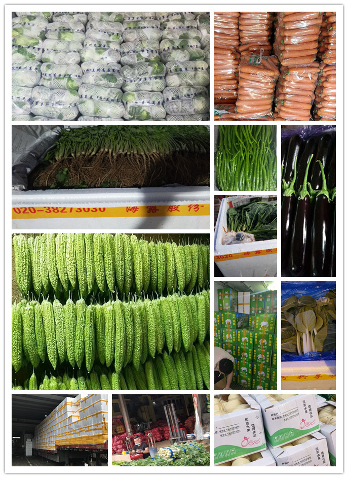 yp�ֻ���������Ϸ(�й�)�ٷ���վ