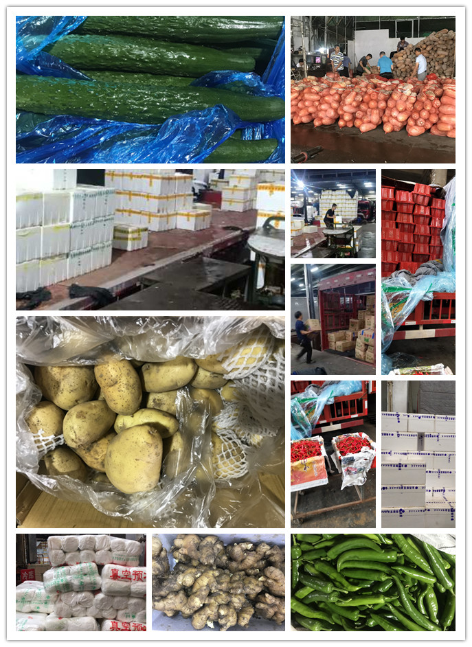 yp�ֻ���������Ϸ(�й�)�ٷ���վ