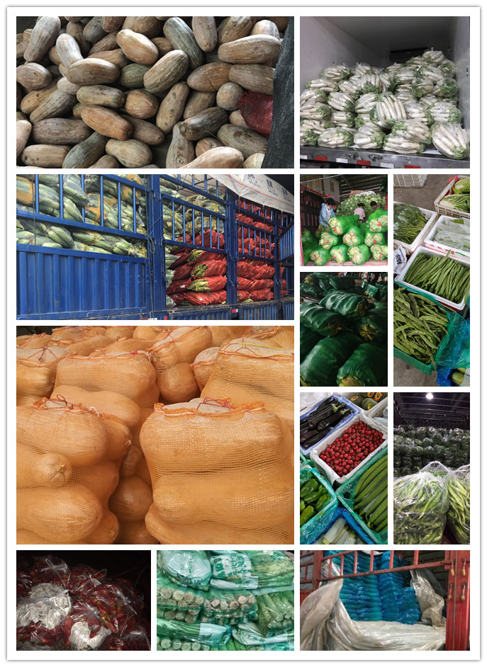 yp�ֻ���������Ϸ(�й�)�ٷ���վ