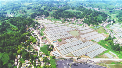 yp�ֻ���������Ϸ(�й�)�ٷ���վ