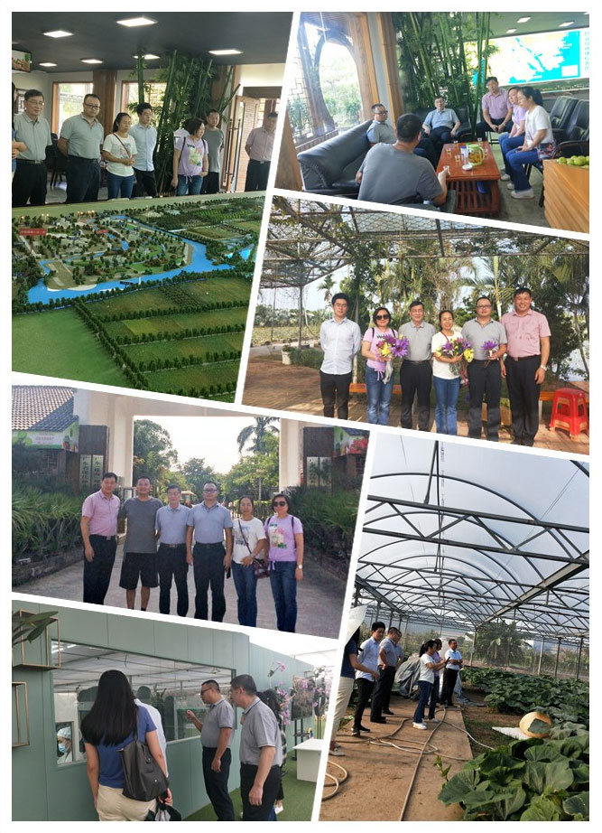 yp�ֻ���������Ϸ(�й�)�ٷ���վ