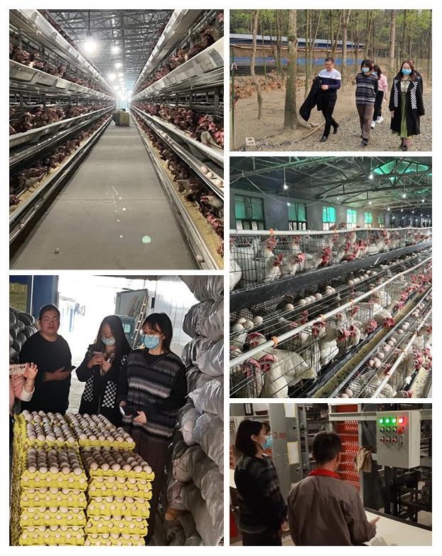 yp�ֻ���������Ϸ(�й�)�ٷ���վ