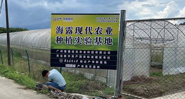 yp�ֻ���������Ϸ(�й�)�ٷ���վ