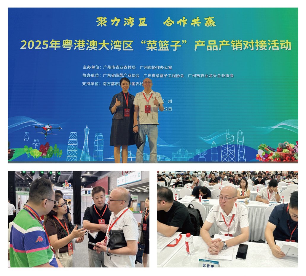 yp�ֻ���������Ϸ(�й�)�ٷ���վ